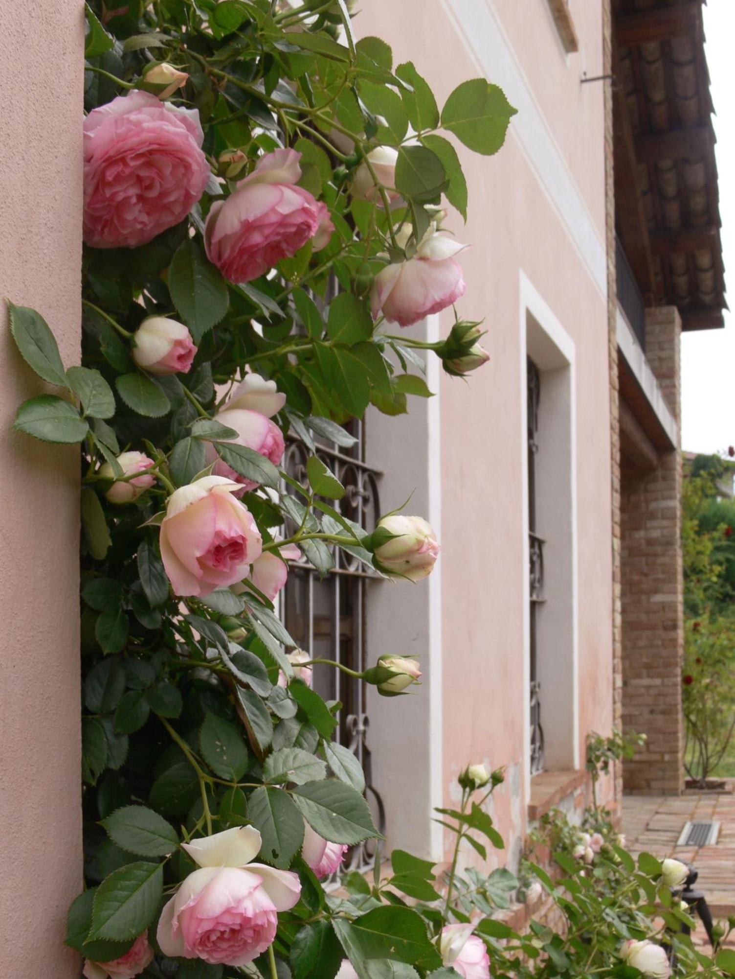 Pensjonat Casa Isabella Vaglio Serra Zewnętrze zdjęcie