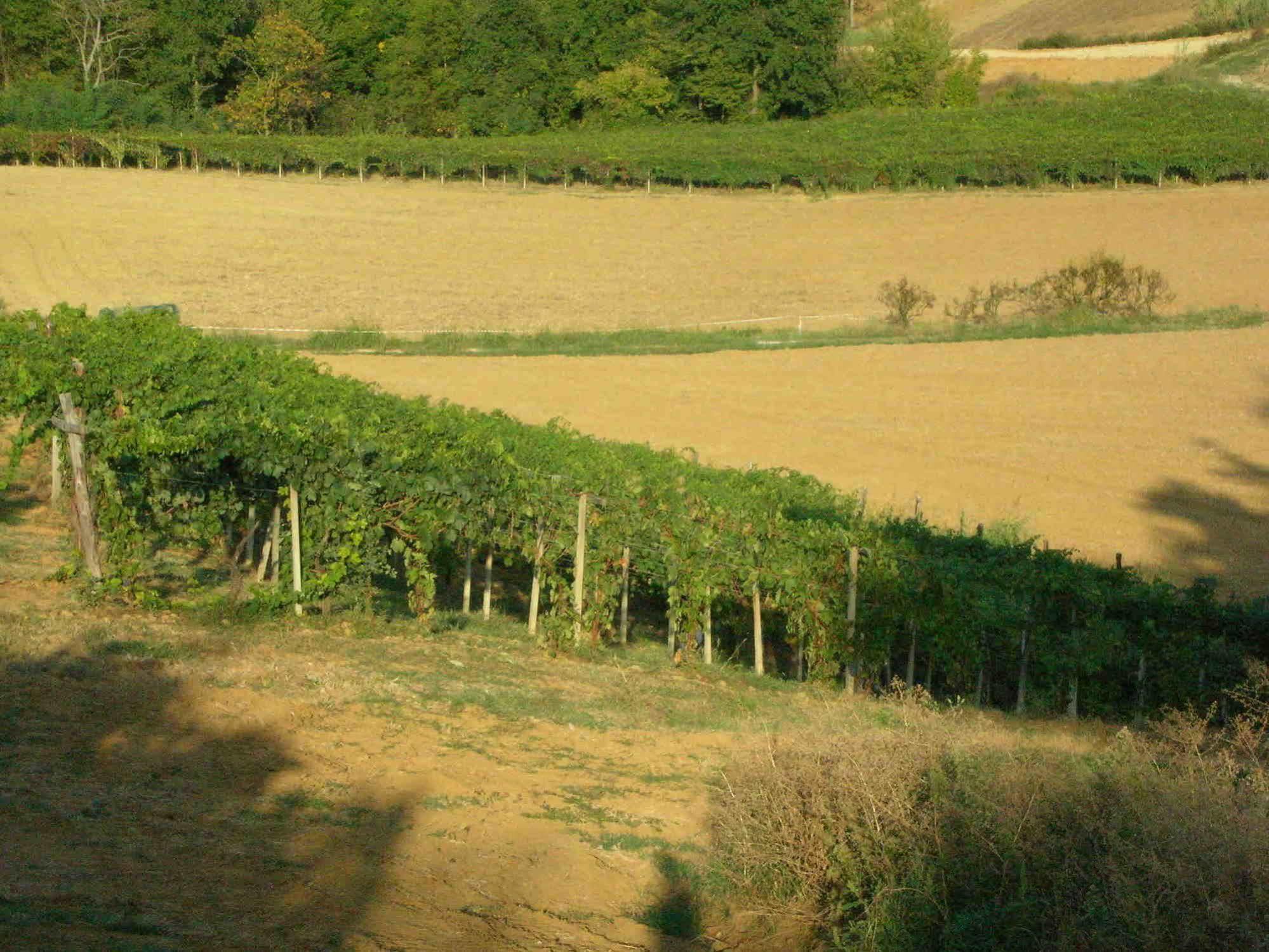Pensjonat Casa Isabella Vaglio Serra Zewnętrze zdjęcie
